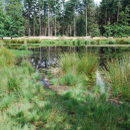 Chalet "De Vliegden" Stroe  Zewnętrze zdjęcie